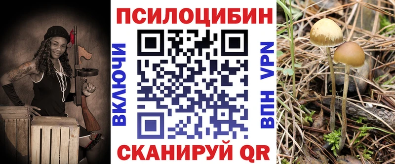 Купить закладки  Фатеж  Псилоцибиновые грибы мухоморы 